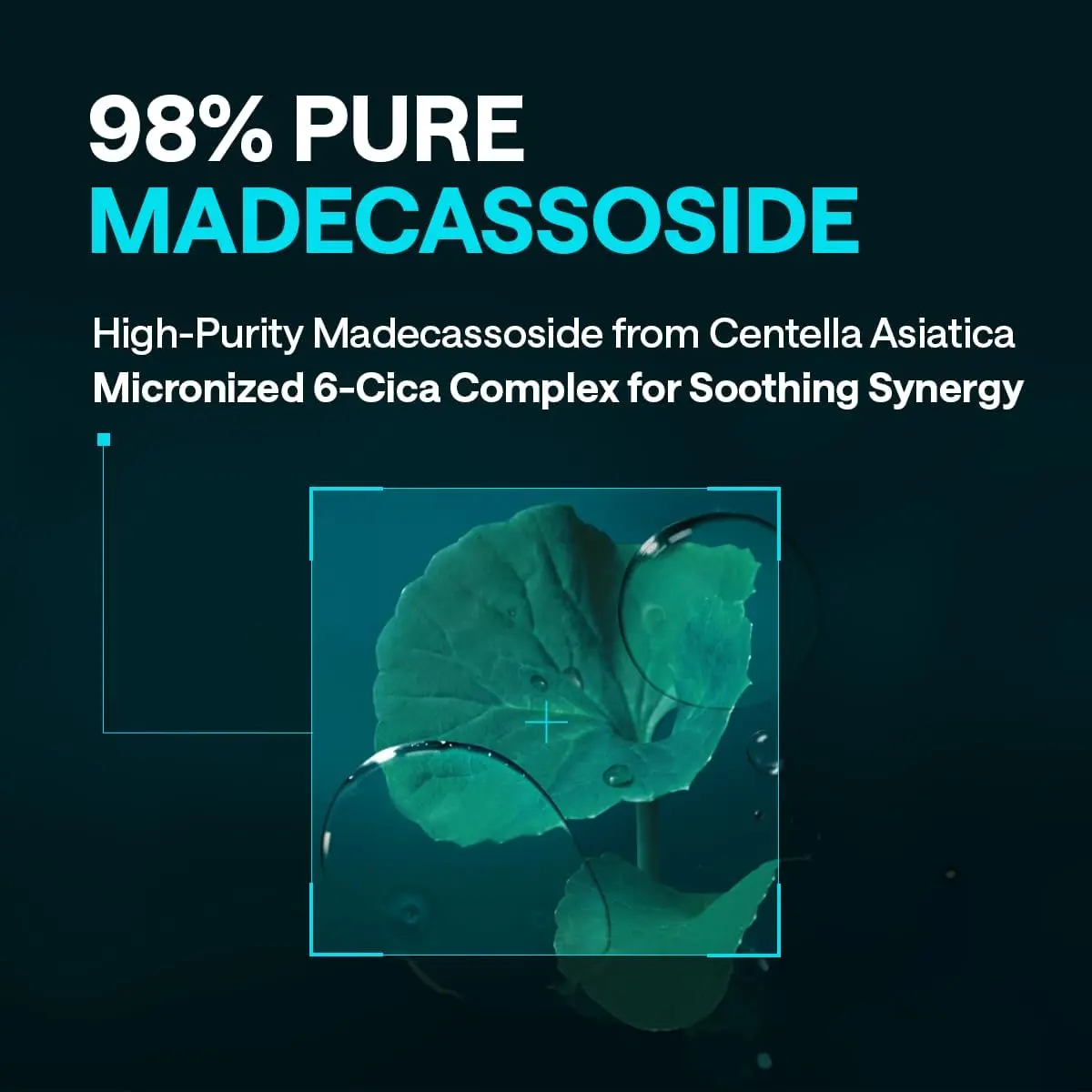 Productafbeelding 5