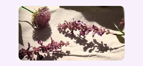 Productafbeelding 4